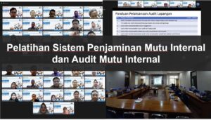 Read more about the article Pelatihan Sistem Penjaminan Mutu Internal dan Audit Mutu Internal